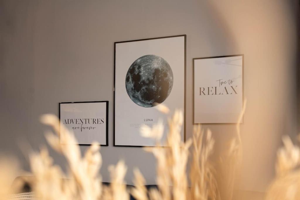Blue Moon. Cozy Near Iulius Mall Cluj-Napoca