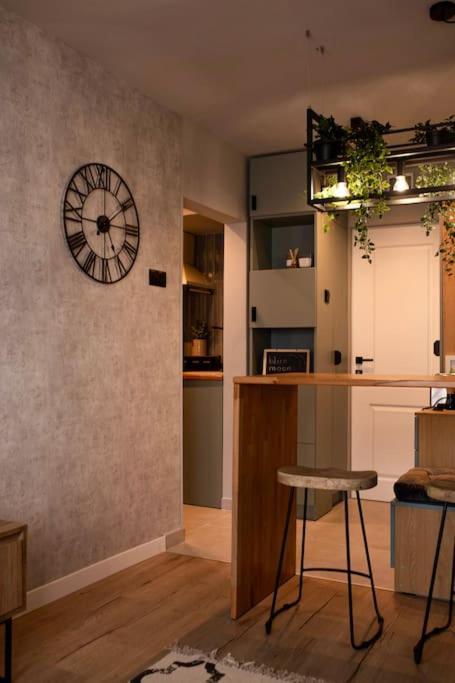 Căn hộ Blue Moon. Cozy Near Iulius Mall Cluj-Napoca