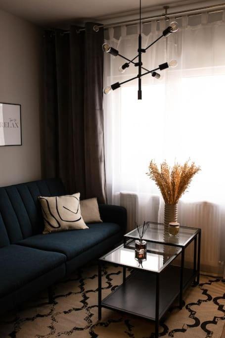 Apartment Blue Moon. Cozy Near Iulius Mall *